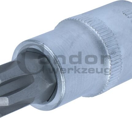 Galvutė 1/2 RIBE M12*55mm