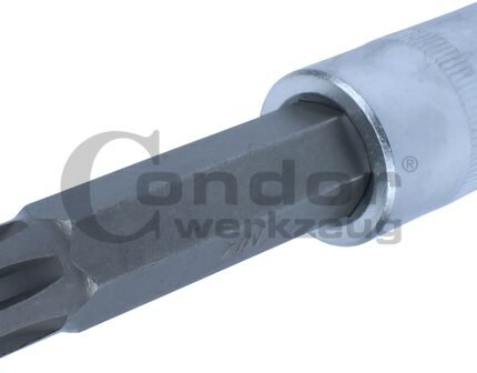 Galvutė 1/2 RIBE M14*100mm