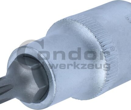 Galvutė 1/2 RIBE M6*55mm