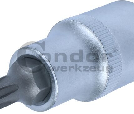 Galvutė 1/2 RIBE M7*55mm