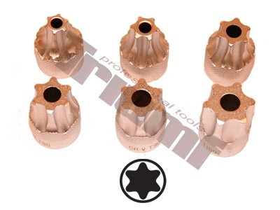 Galvutės monolitinės TORX pažemintos T55/T60/T70/T80/T90/T100