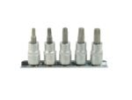 ĮPRESUOTŲ 3/8 TORX ANTGALIŲ RINKINYS 5 VNT.