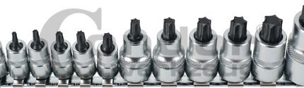 Įpresuotų TORX antgalių rinkinys 12vnt.