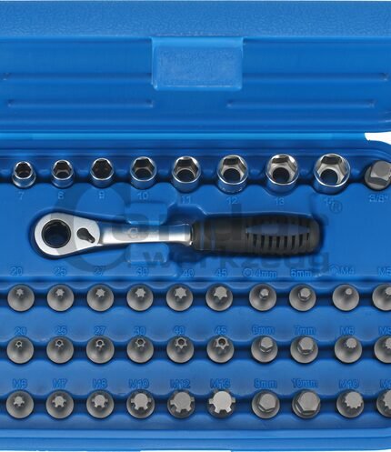 Kiauryminių galvučių įrankių komplektas 44 dalių