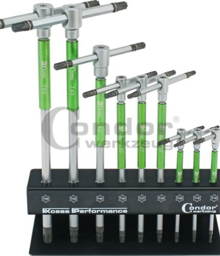 T-formos TORX komplektas su laikikliu