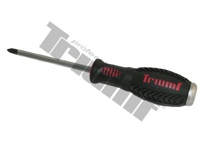 Kalamas atsuktuvas Ph2x100mm S2/1/4"