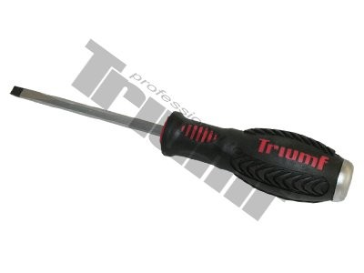 Kalamas atsuktuvas Sl6x100mm S2/1/4"