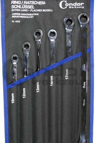 Dvigubo žiedo / ilgų kombinuotų + terkšlinių raktų komplektas (10-19 mm)