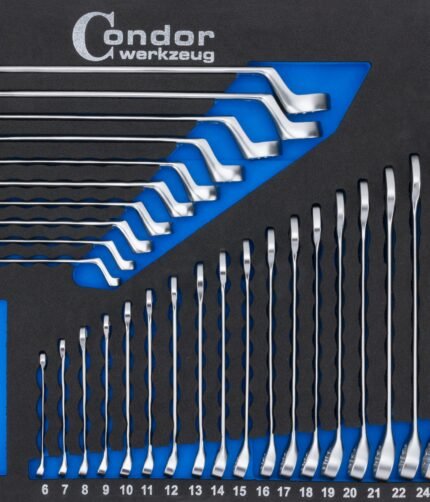 Kombinuotų ir kilpinių raktų komplektas / su dėklu vežimėliui 31vnt.