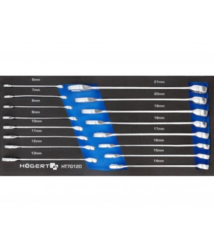 Kombinuotų raktų komplektas (6-21mm) / su dėklu vežimėliui