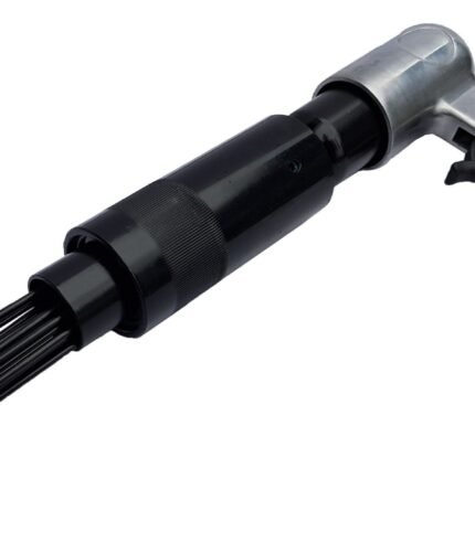 Pneumo plaktukas adatinis