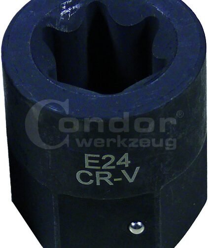 Smūginė galvutė E24 (MAN TGA)