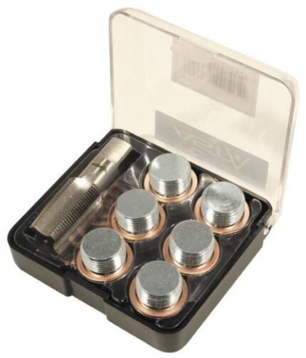 Sriegio remonto komplektas M17x1