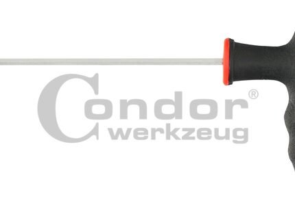 T-formos raktas TORX T10 x 100 mm