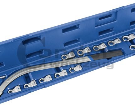 Universalus lenktas spec. raktas su keičiamomis galvomis 15 vnt.