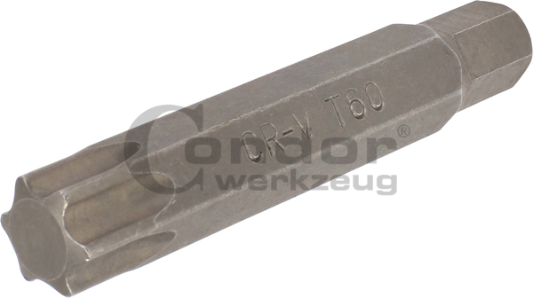 Antgalis TORX T60*75mm Antgalis TORX T60*75mm
