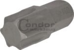 Antgalis TORX T60*30mm