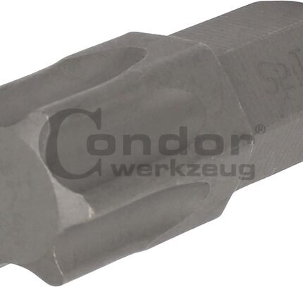 Antgalis TORX T60*30mm