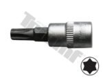 Įpresuotas T15 TORX antgalis 3/8 terkšlei
