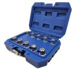 Spec. galvutės BMW/MINI  ratų slapukams atsukti / 10dalių