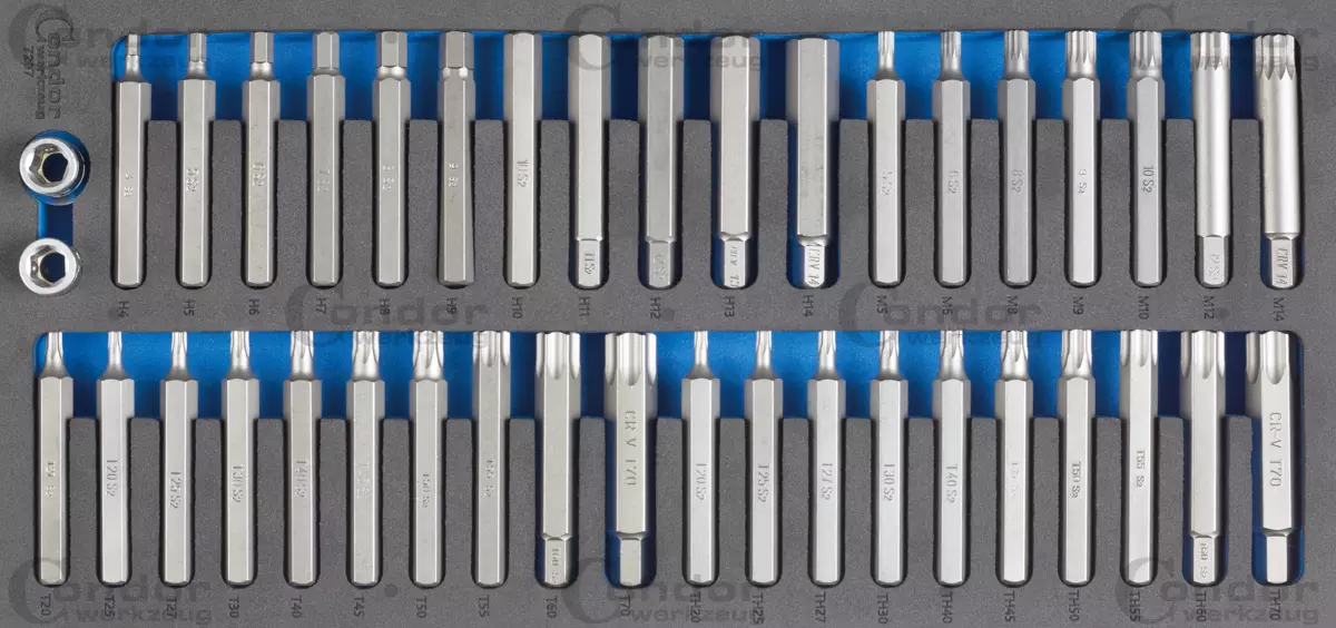 Antgaliai ilgi TORX HEX SPLINE 40 dalių / su dėklu vežimėliui Antgaliai ilgi TORX HEX SPLINE 40 dalių / su dėklu vežimėliui