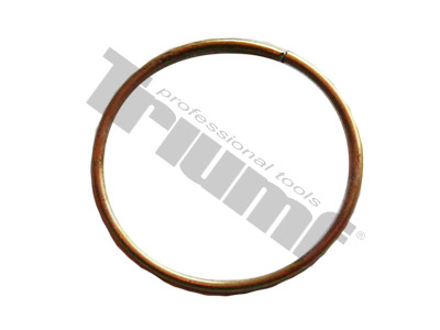 Apsauginis "C"žiedas dėl TR4337